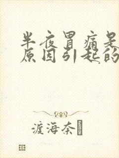 半夜胃痛是什么原因引起的