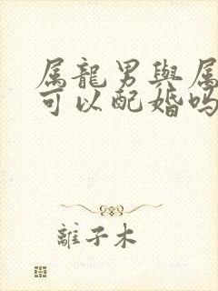 属龙男与属羊女可以配婚吗封面