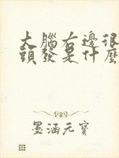 大脑右边很多白头发是什么原因引起的