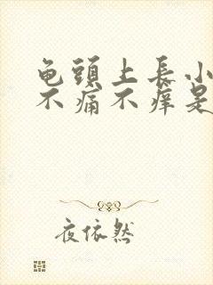 龟头上长小红点不痛不痒是怎么回事