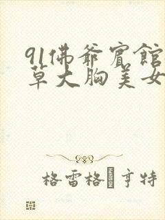 91佛爷宾馆猛草大胸美女