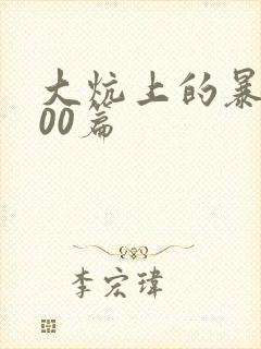 大炕上的暴伦500篇封面