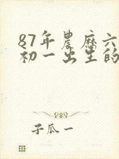 87年农历六月初一出生的命运
