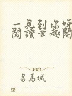 一见到你呀免费阅读笔趣阁封面