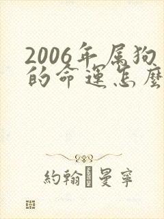 2006年属狗的命运怎么样封面