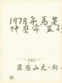 1978年马是什么命 五行属什么属性封面