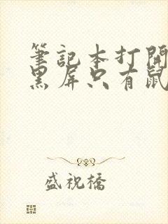 笔记本打开之后黑屏只有鼠标