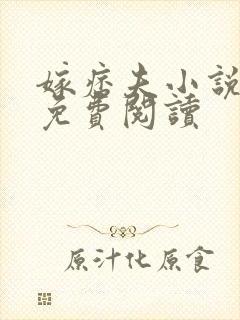 嫁痞夫小说全文免费阅读封面