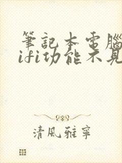 笔记本电脑的wifi功能不见了