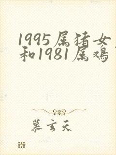1995属猪女和1981属鸡男姻缘