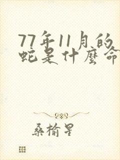 77年11月的蛇是什么命,五行属性