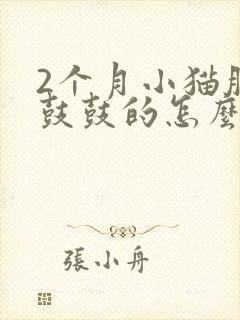 2个月小猫肚子鼓鼓的怎么回事