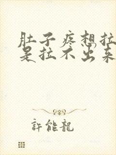 肚子疼想拉屎但是拉不出来怎么办