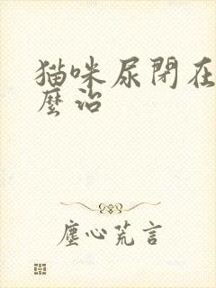 猫咪尿闭在家怎么治