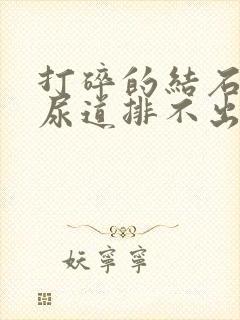 打碎的结石堵在尿道排不出尿怎么办