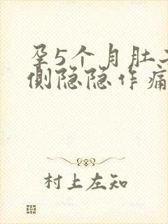 孕5个月肚子两侧隐隐作痛封面