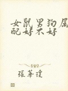 女鼠男狗属相婚配好不好