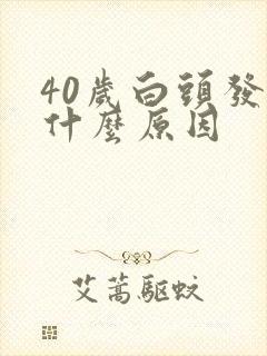 40岁白头发多什么原因