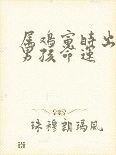 属鸡寅时出生的男孩命运