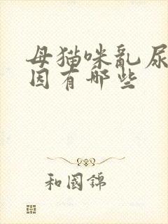 母猫咪乱尿的原因有哪些