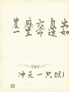 农历六月出生狗一生命运如何