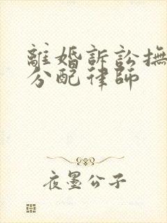 离婚诉讼抚养权分配律师