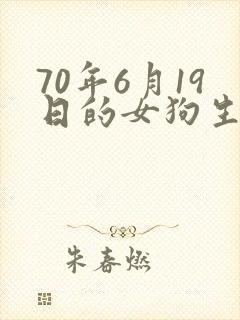 70年6月19日的女狗生人命运如何