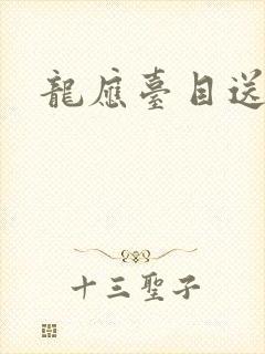 龙应台目送封面