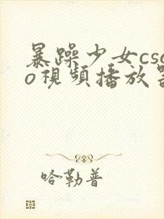 暴躁少女csgo视频播放器推荐