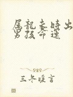 属龙未时出生的男孩命运