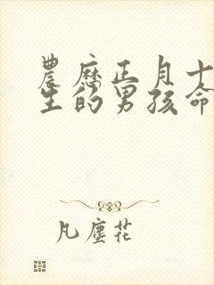 农历正月十八出生的男孩命运封面