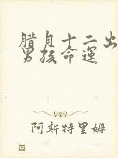 腊月十二出生的男孩命运