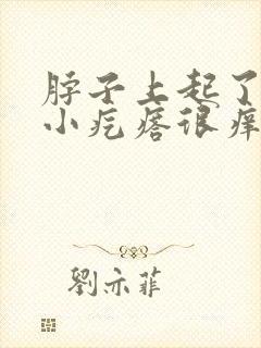 脖子上起了好多小疙瘩很痒痒