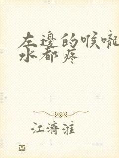 左边的喉咙吞口水都疼