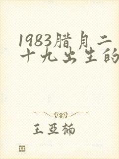 1983腊月二十九出生的男孩命运封面