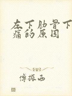 左下肋骨下方疼痛的原因