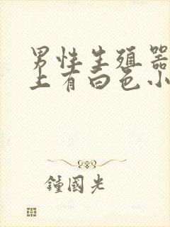 男性生殖器包皮上有白色小肉粒