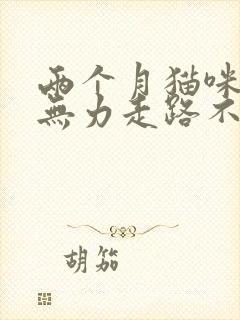 两个月猫咪后腿无力走路不稳