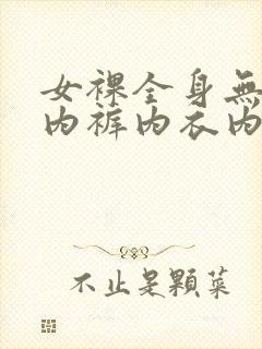 女裸全身无奶罩内裤内衣内裤网站