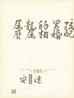 属龙的男孩和什么属相婚配最好呢封面