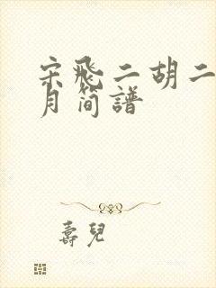 宋飞二胡二泉映月简谱封面