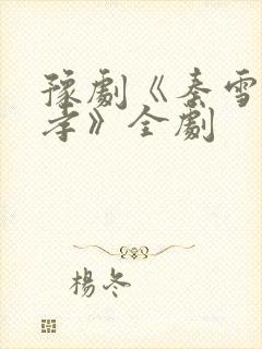 豫剧《秦雪梅吊孝》全剧封面