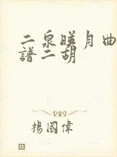 二泉映月曲谱简谱二胡