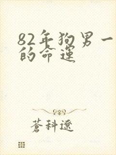 82年狗男一生的命运封面