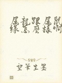 属龙跟属鼠的姻缘怎么样啊