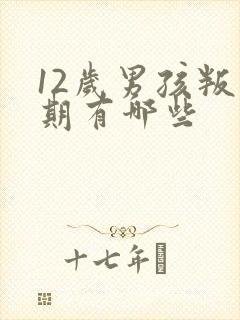 12岁男孩叛逆期有哪些封面