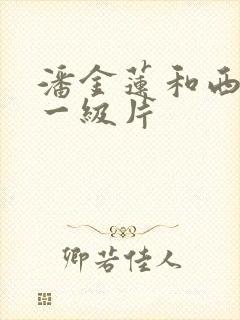 潘金莲和西门庆一级片