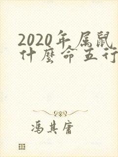 2020年属鼠什么命五行属性