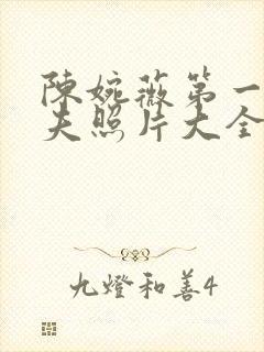 陈婉薇第一任丈夫照片大全