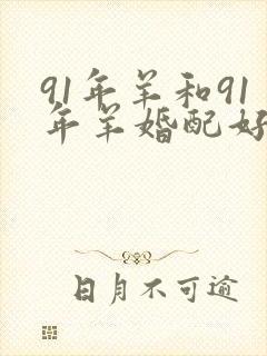 91年羊和91年羊婚配好不好